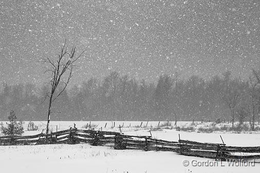 Snowstorm Snowscape_14251.jpg - Photographed near Carleton Place, Ontario, Canada.